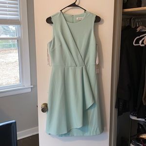 Calvin Klein dress